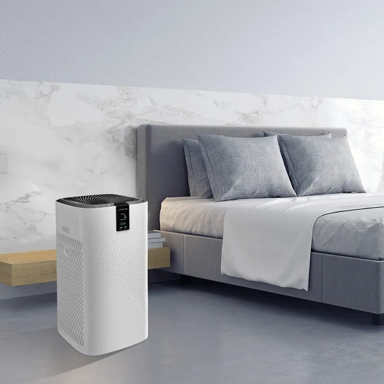 Design Air Cleaner AirgoClean® 250 E - Office Living Store