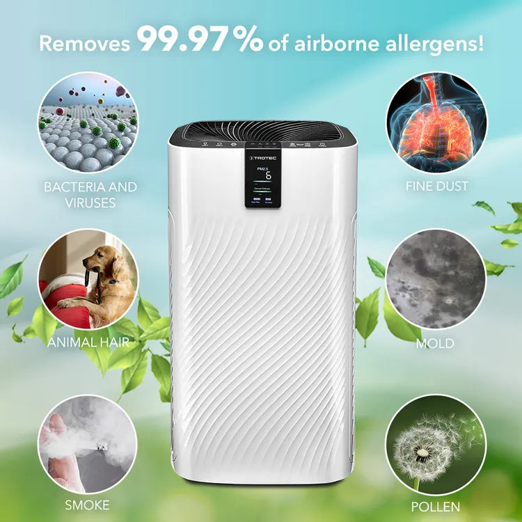 Design Air Cleaner AirgoClean® 250 E - Office Living Store