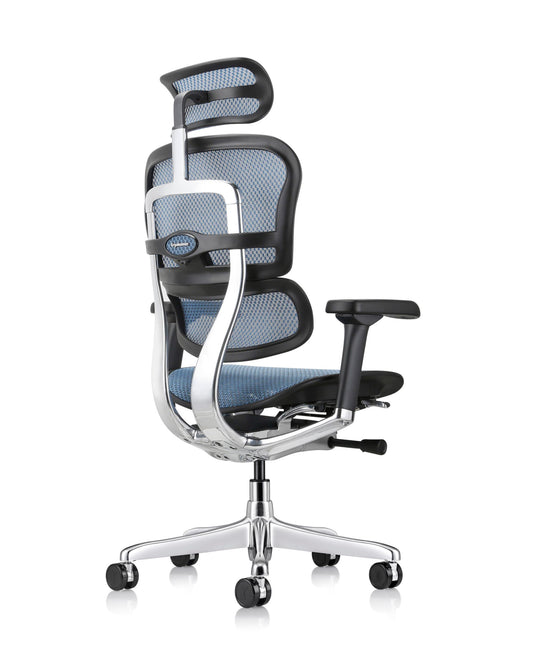 Ergohuman GEN2 High-Back All Mesh Executive Office Chair with Adjustable Headrest - ME7ERG-GEN2- BLUE