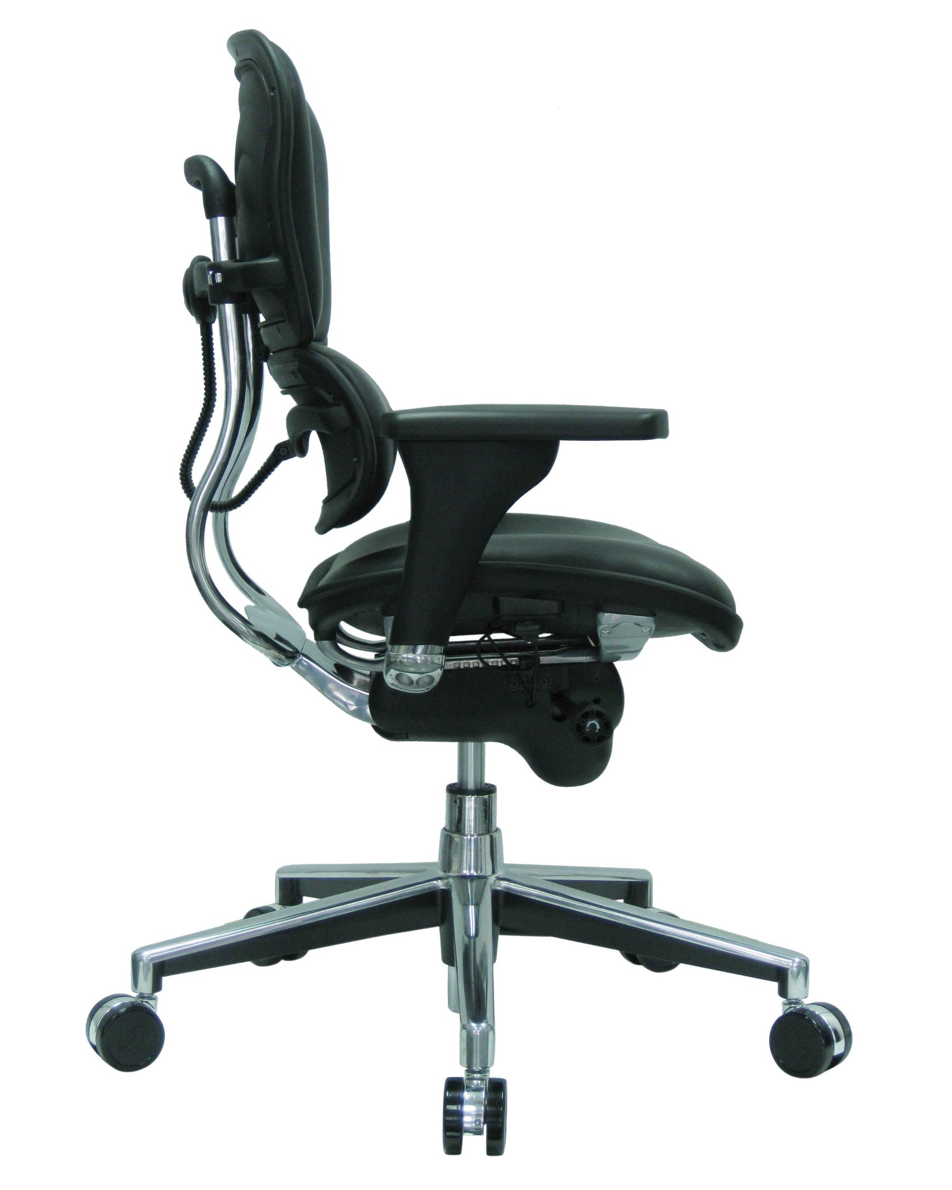 Eurotech ErgoHuman Mid-Back Leather Executive Office Chair with Adjustable Arms - LE10ERGLO - Office Living Store