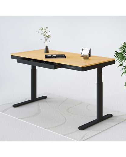 FlexiSpot Comhar Pro Q8 Electric Standing Desk with Wireless Charger - Bamboo Sit Stand Desk with Dual Motor - Office Living Store