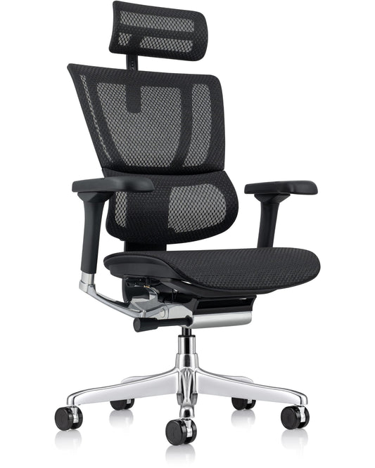 Ergohuman Xtreme High-Back Mesh Executive Office Chair with Adjustable Headrest - ME2ERG-XTREME